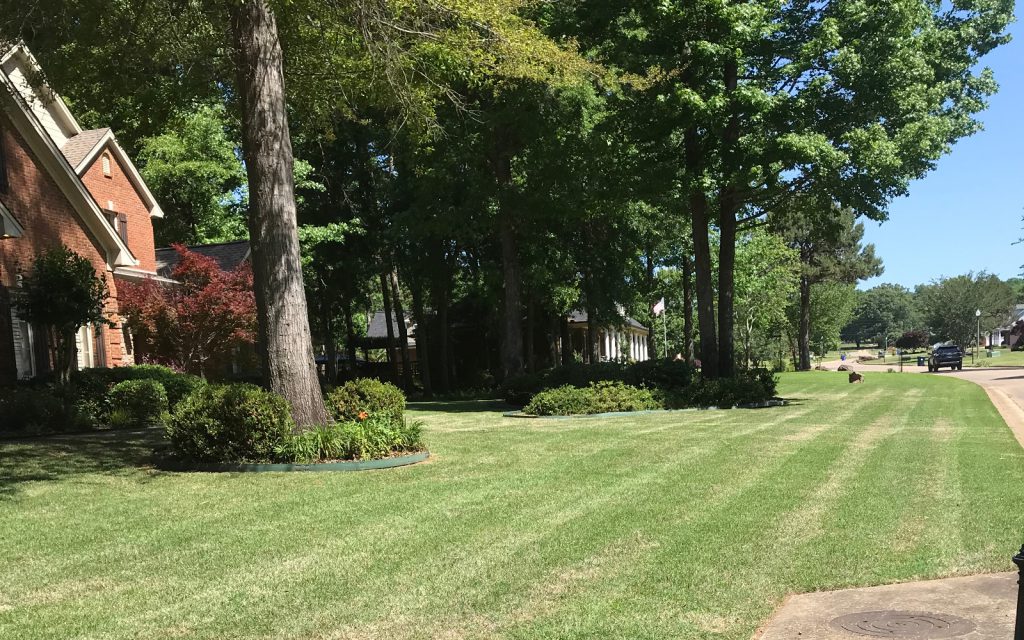Moore's Lawn Service LLC - Total Lawn Care